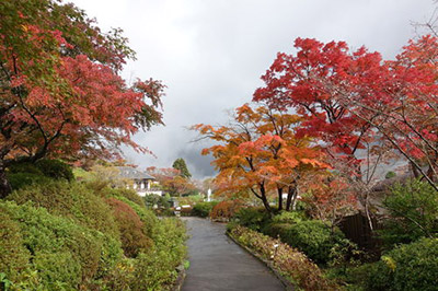 箱根強羅公園の紅葉